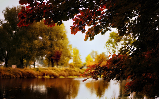 1755799 (a): :1920x1200